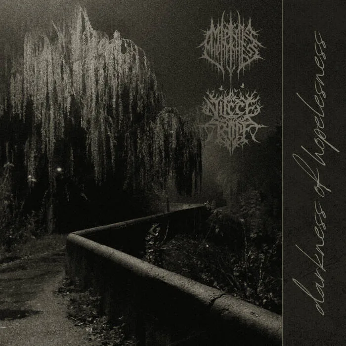 Darkness of Hopelessness cover