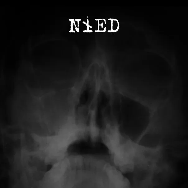 Nied cover