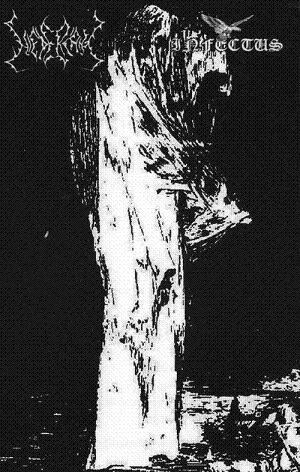 Infectus / Niedergang cover