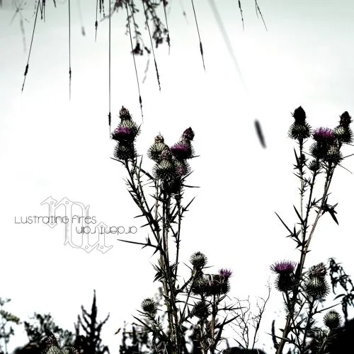 Lustrating Fires Ardent Rain cover