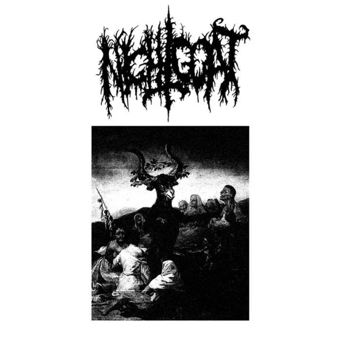 Night Goat cover