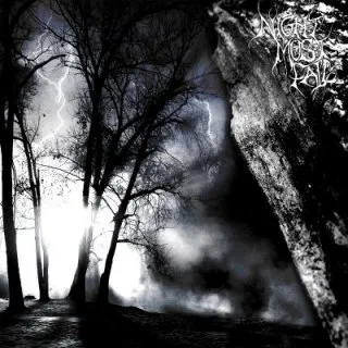 Night Must Fall cover