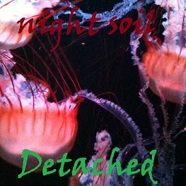 Detached cover