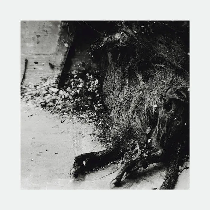 Banal existencia cover