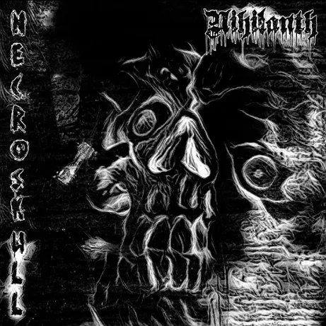 Necroskull cover