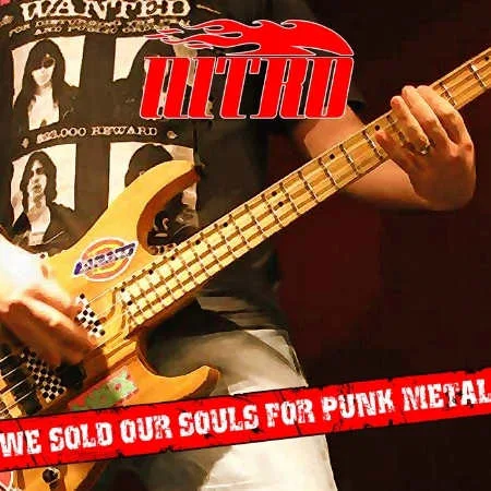 We Sold Our Souls for Punk Metal cover
