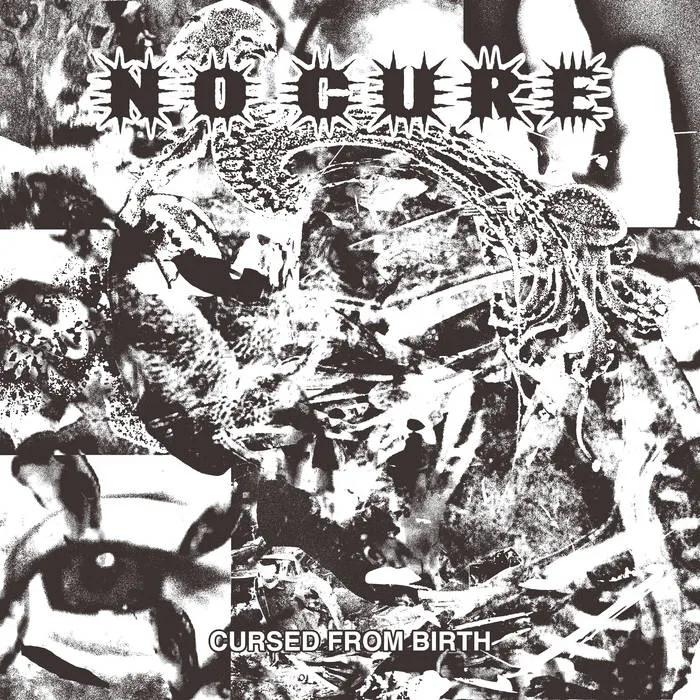 Cursed from Birth cover