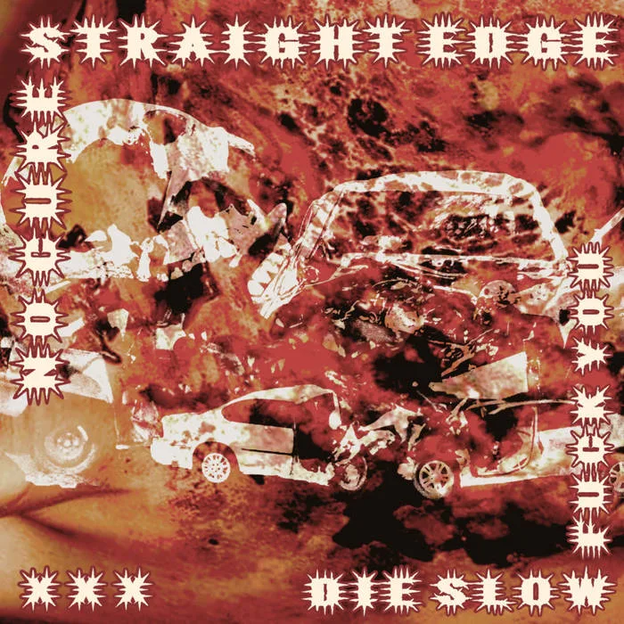 No Cure Straight Edge Die Slow Fuck You cover