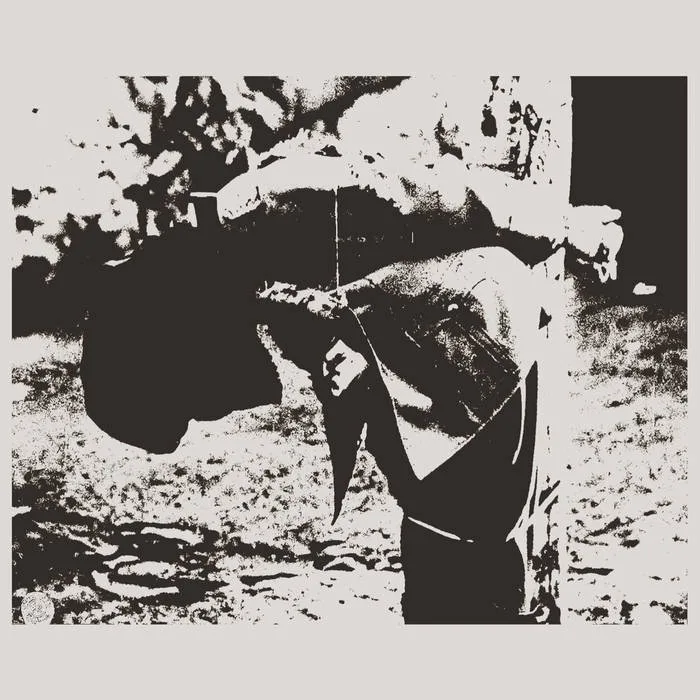 Foreign Threat cover