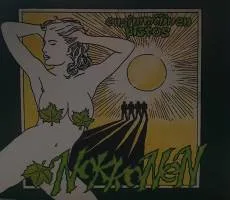 Ensimmäinen pistos cover