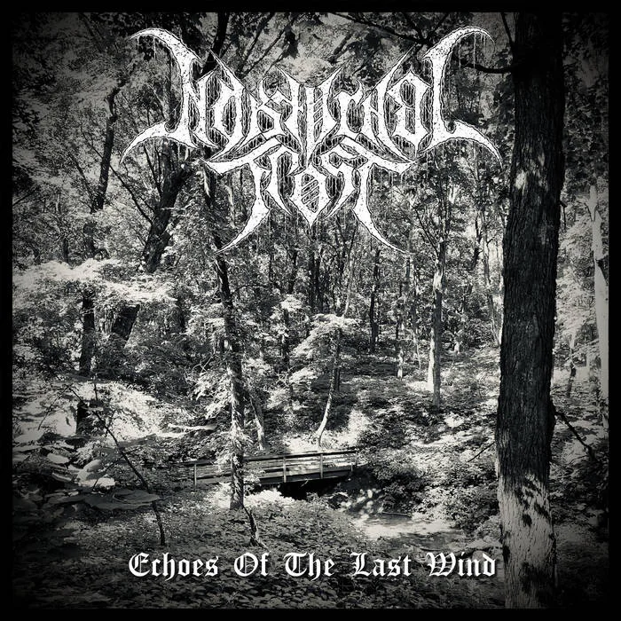 Echoes of the Last Wind cover