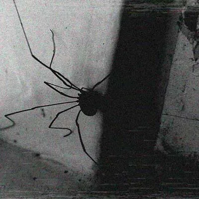 A Very Poor Mono Home Recording cover