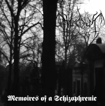 Memoires of a Schizophrenic cover