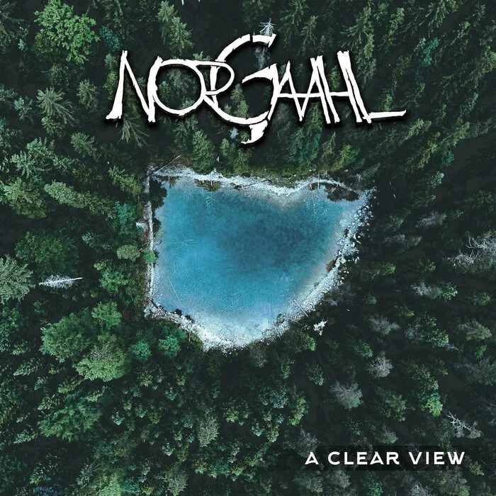 A Clear View cover