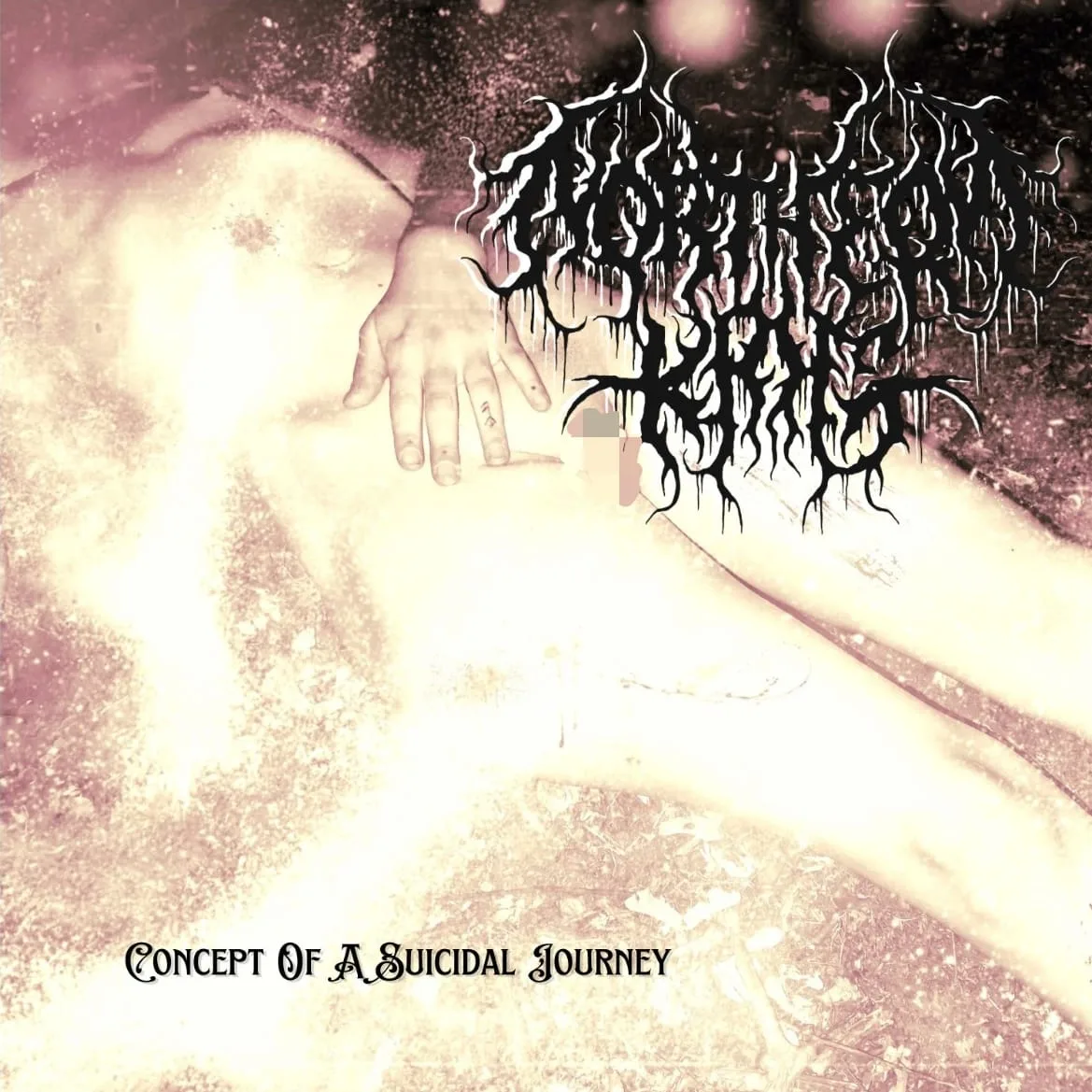 Concept of a Suicidal Journey cover