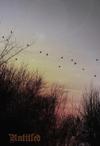 Untitled cover