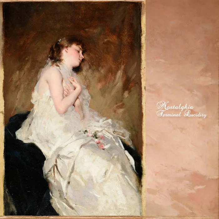 Terminal Lucidity cover