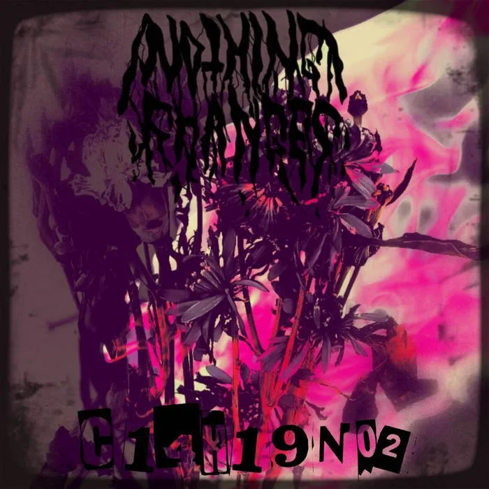 Nothing Changes / C14h19n02 cover