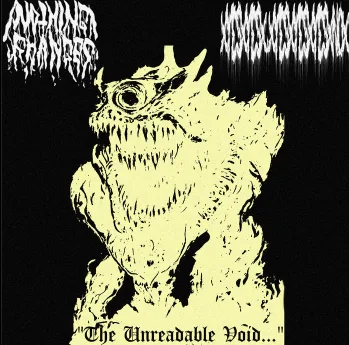 The Unreadable Void cover