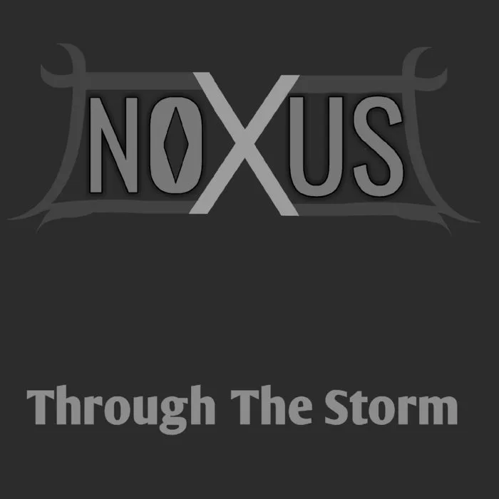 Through the Storm cover