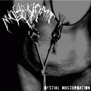Bestial Masturbation cover