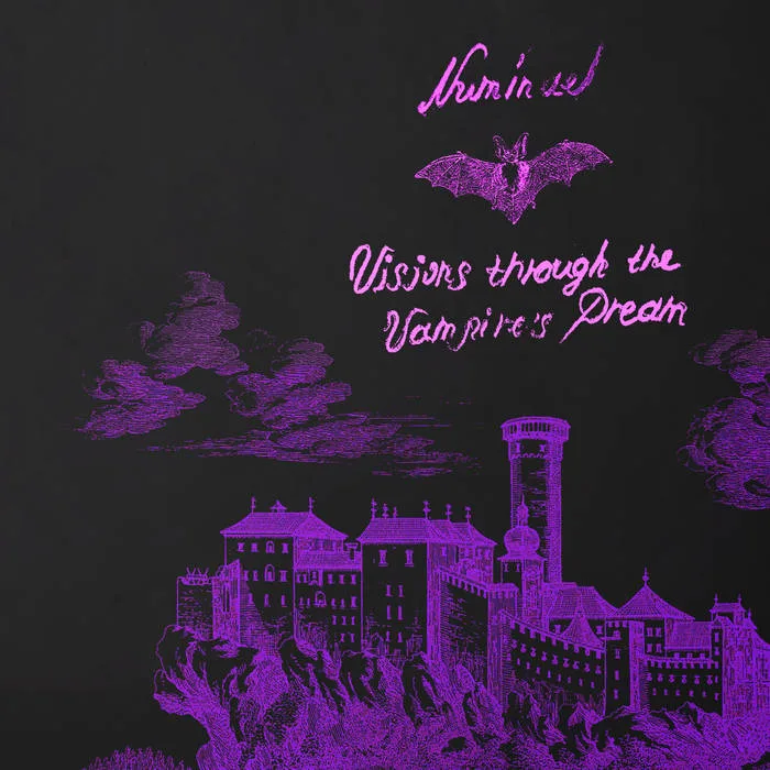 Visions Through the Vampire's Dream cover