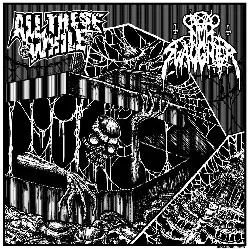 All These While / Nunslaughter cover