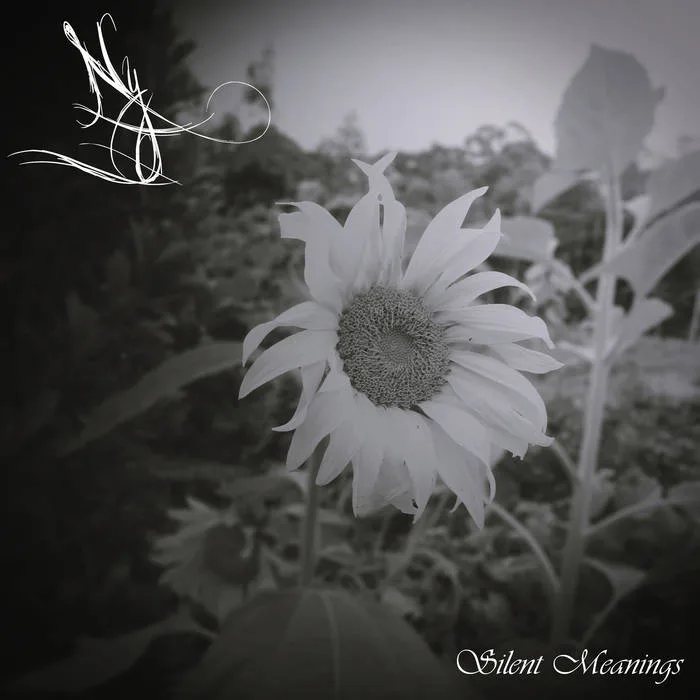 Silent Meanings cover