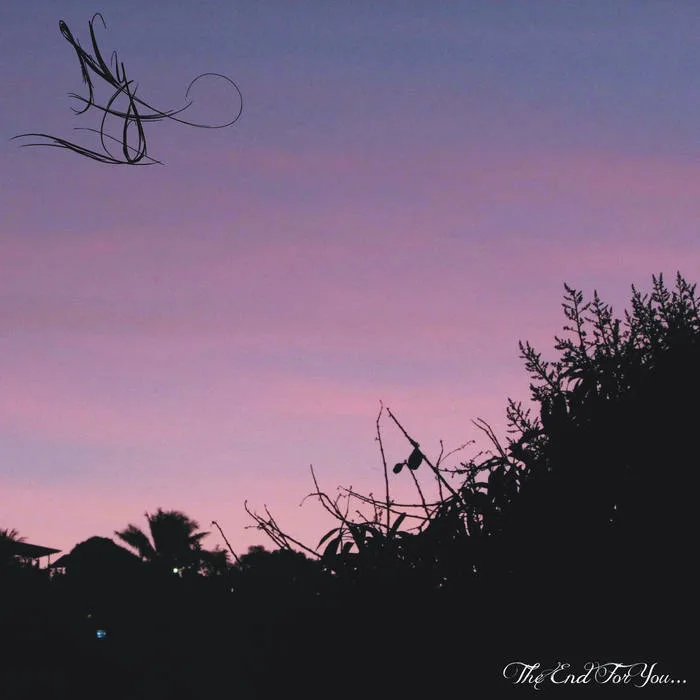 The End for You... cover