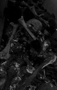 Alliance of the Black Death cover