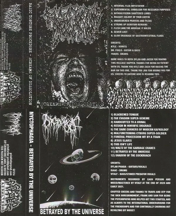 Screams of Dissolution / Betrayed by the Universe cover