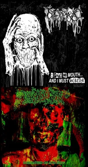 I Have No Mouth and I Must Scream / Gorebathed on Acid Spew cover