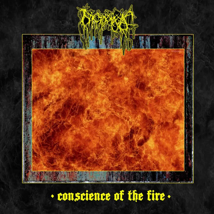 Conscience of the Fire cover