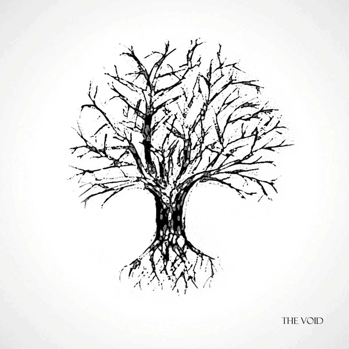 The Void cover