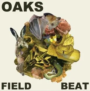 Field Beat cover
