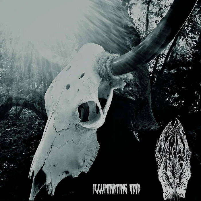 Illuminating Void cover