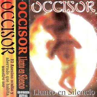 Llanto en silencio cover