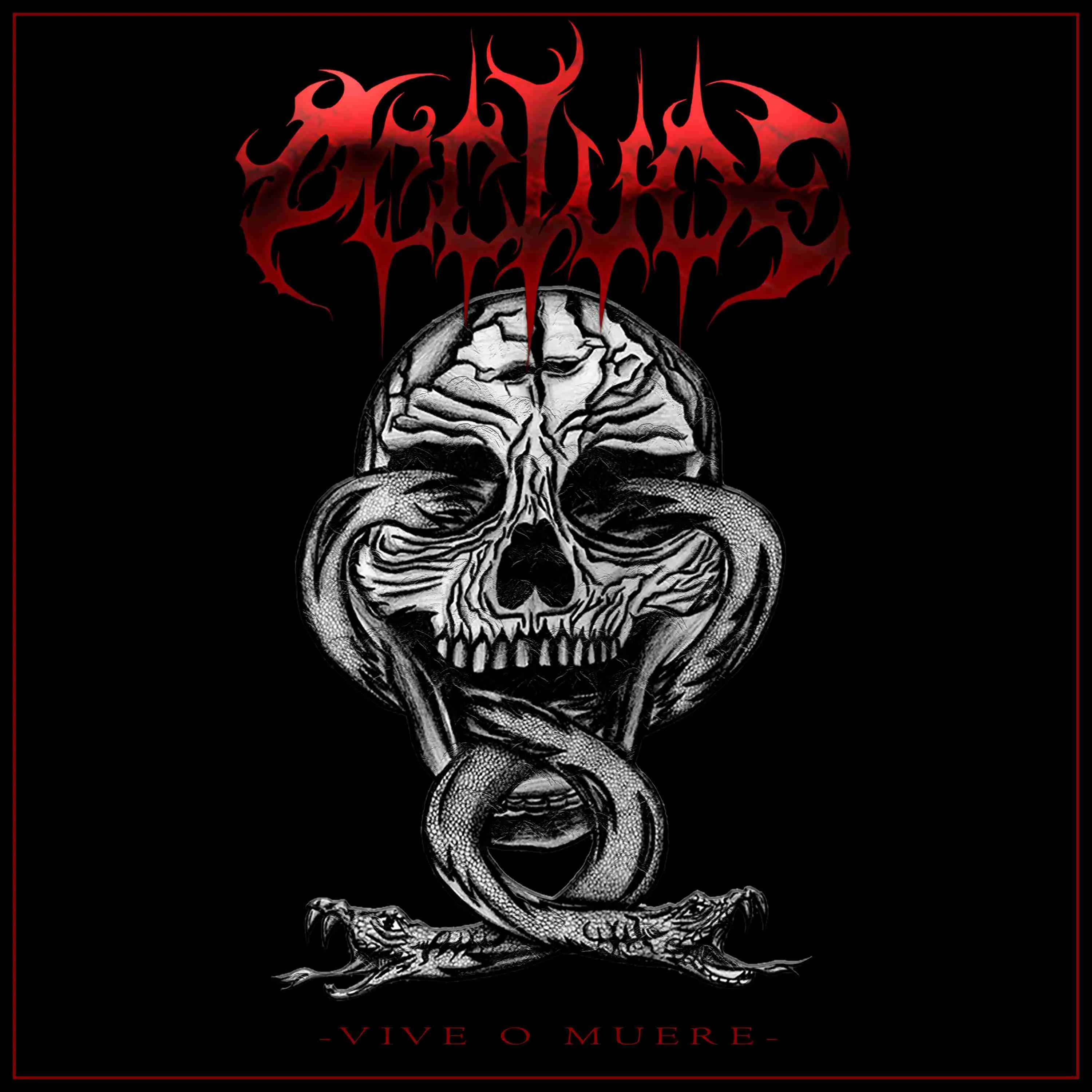 Vive o Muere cover