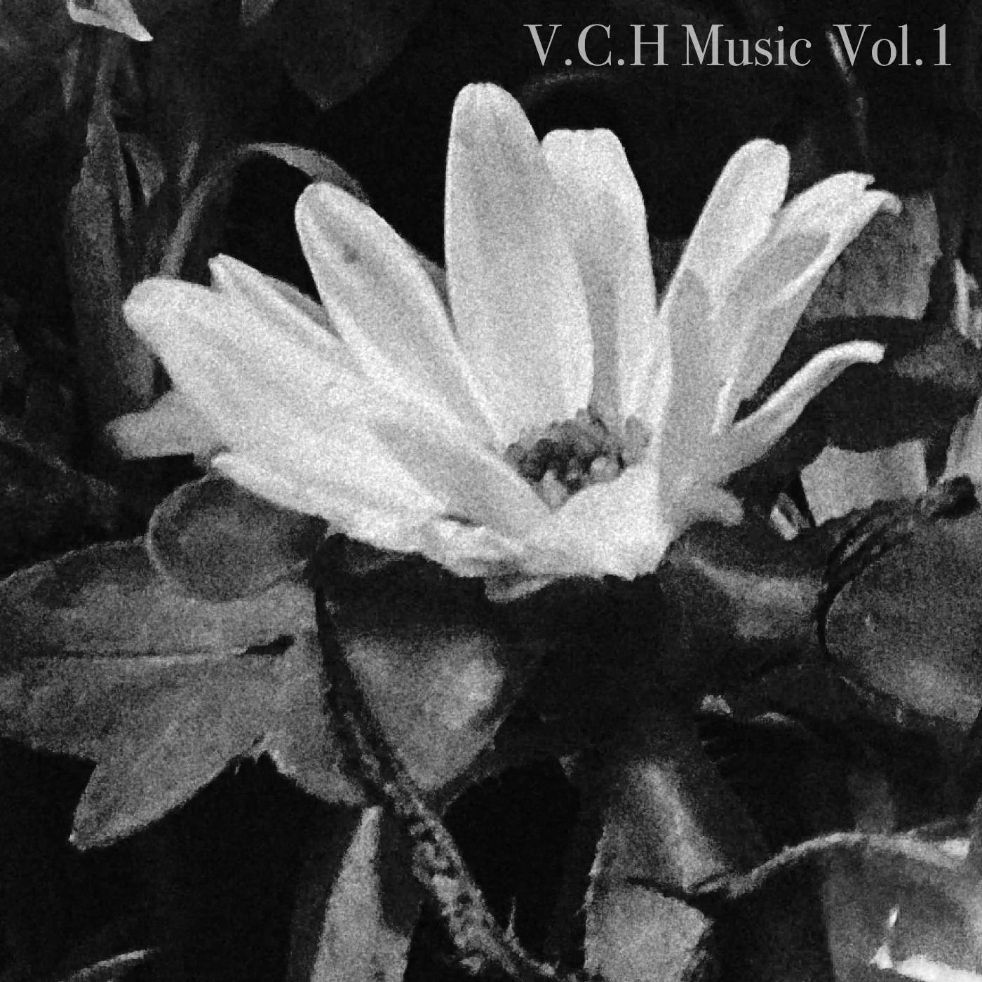 V.C.H. Music Vol.1 cover