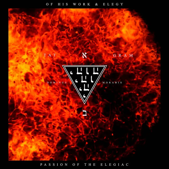 Passion of the Elegiac cover