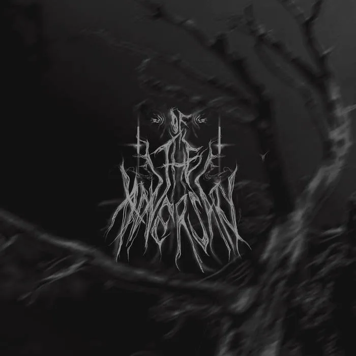 Demo cover