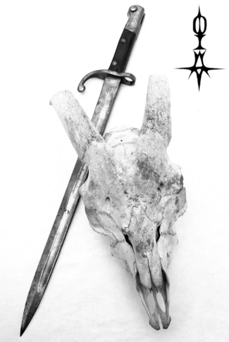 Oiwa cover
