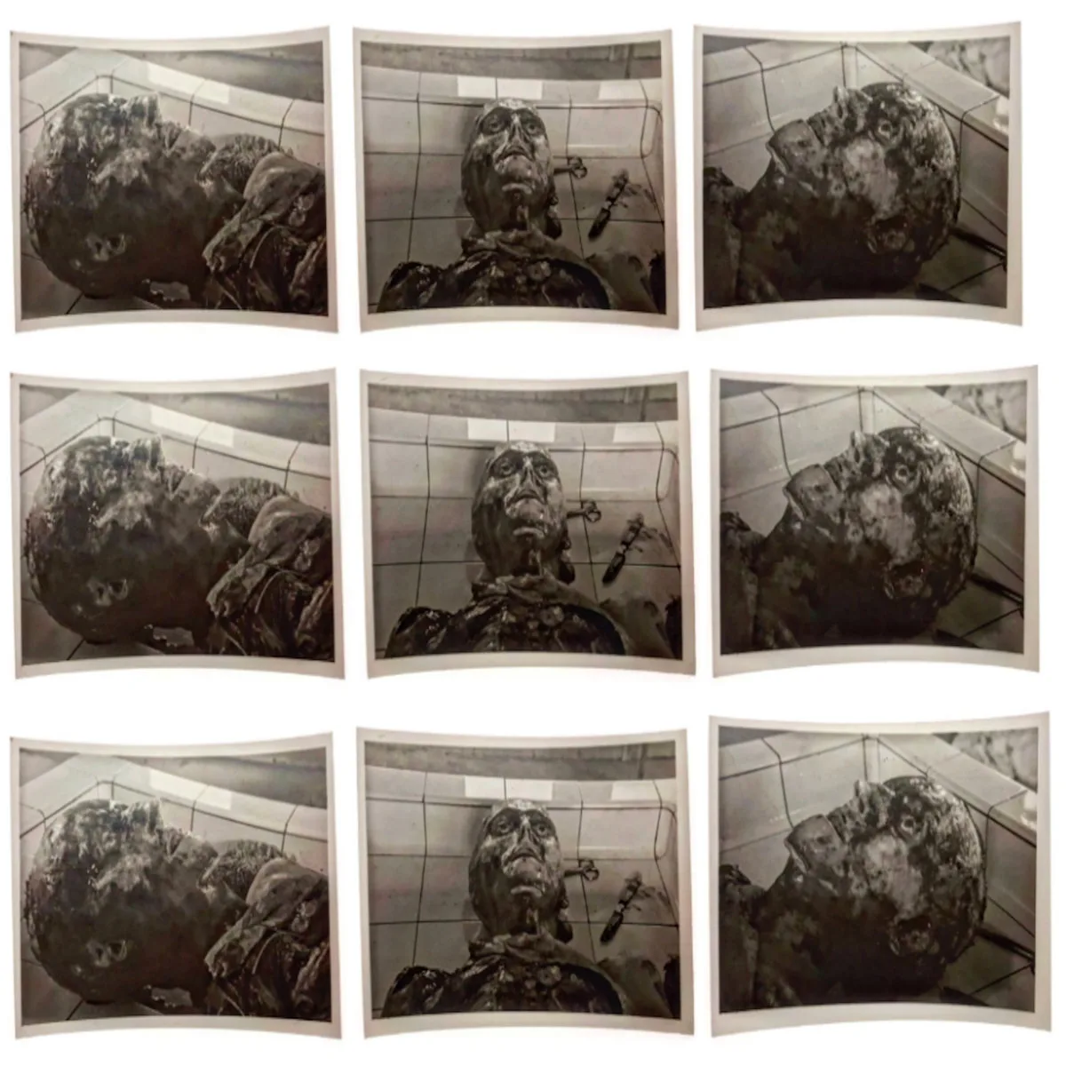 Pigs in the Parlor cover