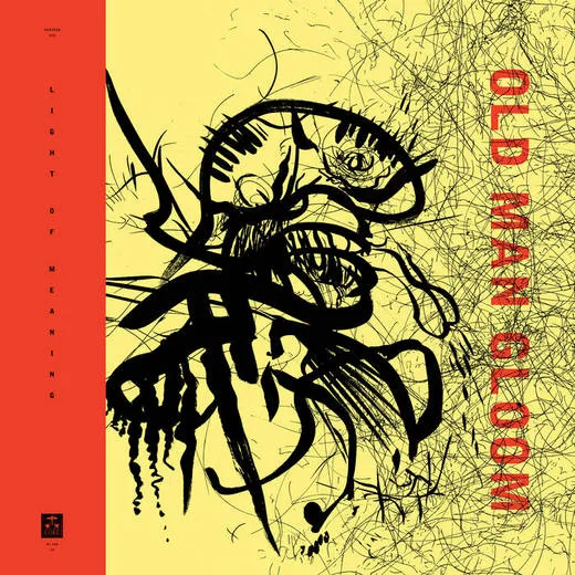 Seminar VIII: Light of Meaning cover