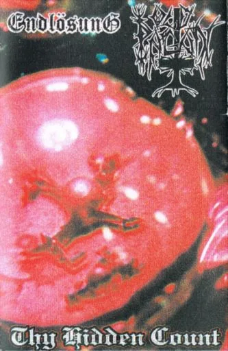 Thy Hidden Count cover