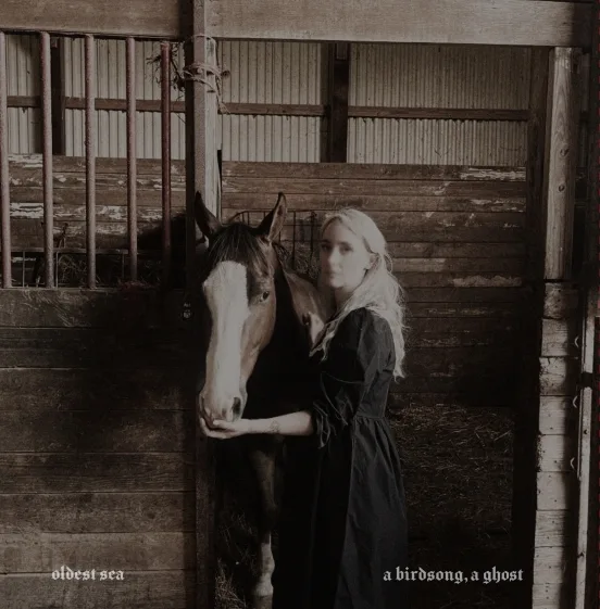 A Birdsong, a Ghost cover