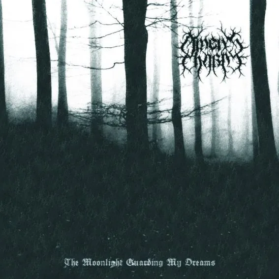 The Moonlight Guarding My Dreams cover