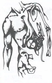 Forbidden Decay cover