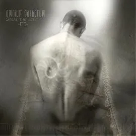 Steal the Light cover