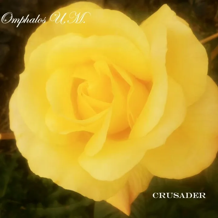 Crusader cover